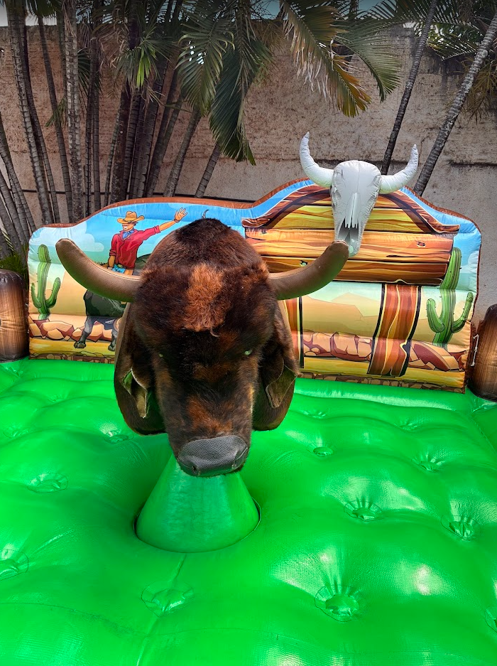 Touro Mecânico Rodeo - foto 4